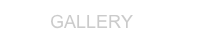 SALES - LED Displays